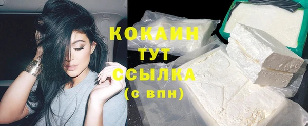 стафф Корсаков