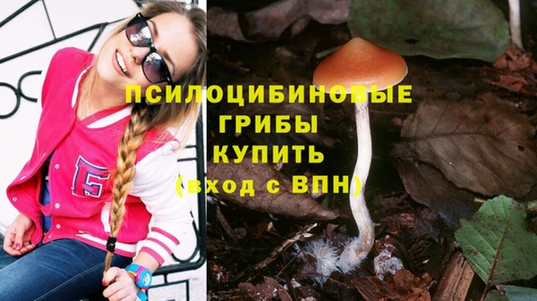мдпв Коряжма