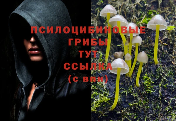 стафф Киренск