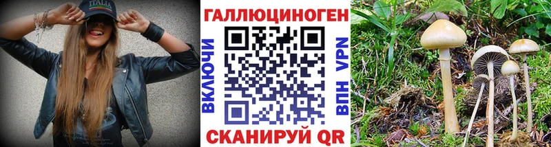 Галлюциногенные грибы Magic Shrooms  Красноармейск 